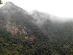 苍山