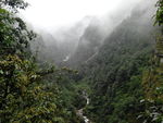 山林