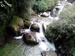 山石