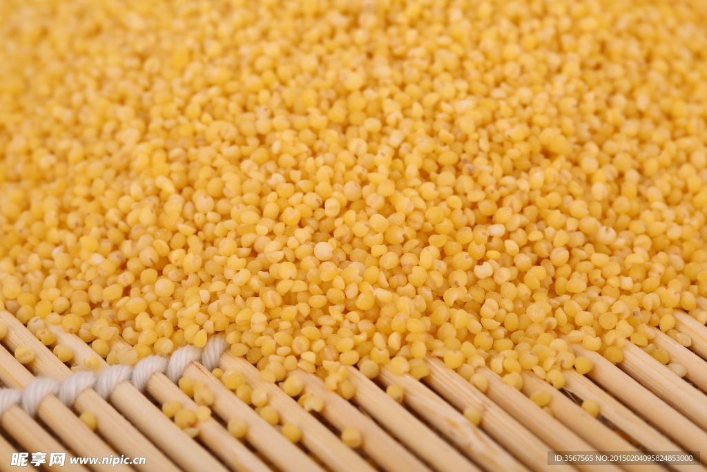 五谷杂粮系列小米黄米摄影图