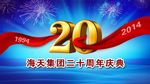 武汉海天集团20周年庆背景