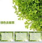 绿色PPT