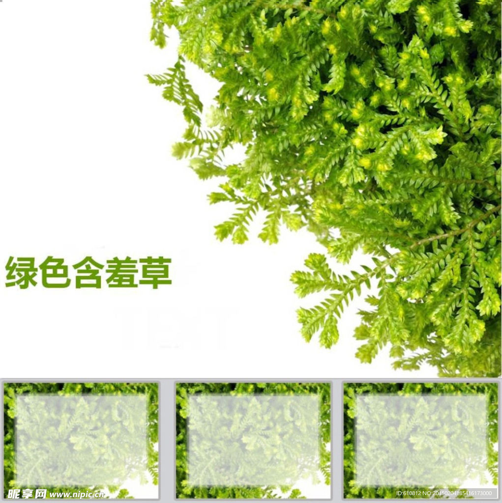 绿色PPT