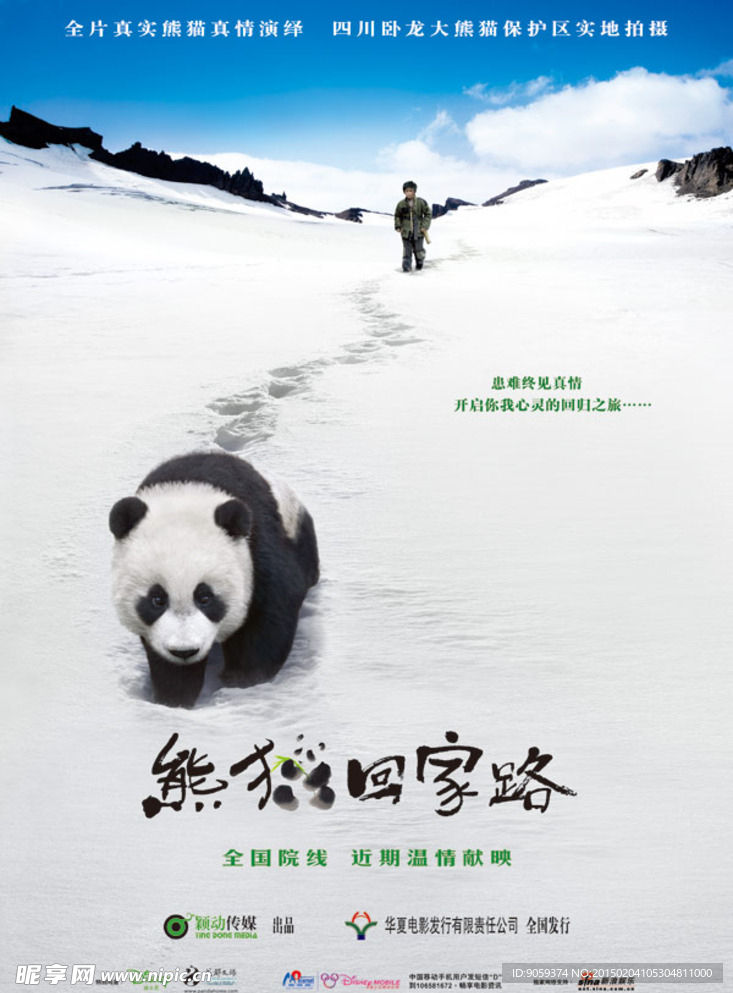 熊猫回家路电影海报PSD素材