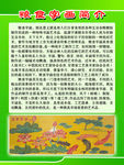 粮食字画简介
