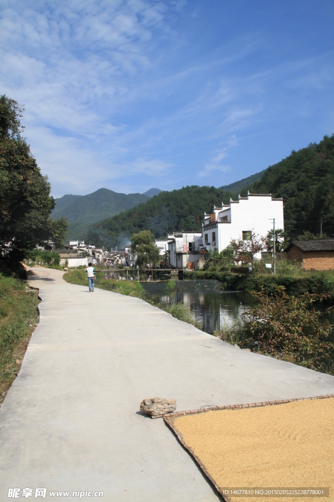 里坑村