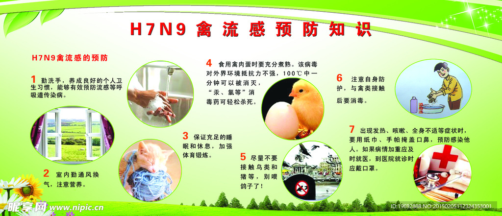 禽流感预防知识宣传栏