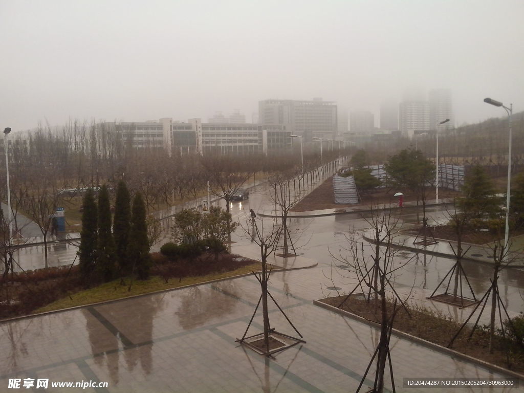 雨后美景
