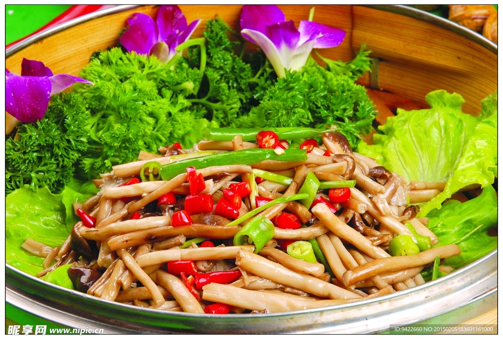茶树菇