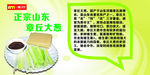 正宗山东章丘大葱