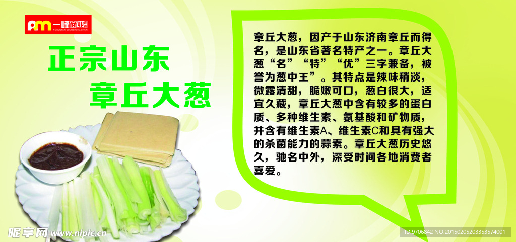 正宗山东章丘大葱