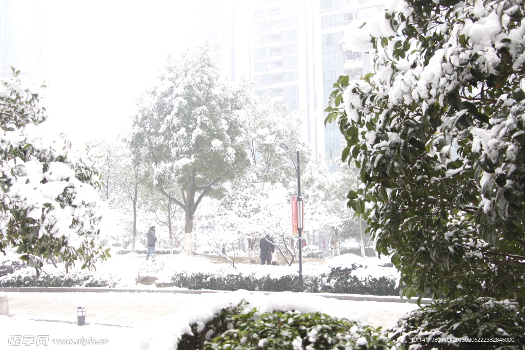 雪景