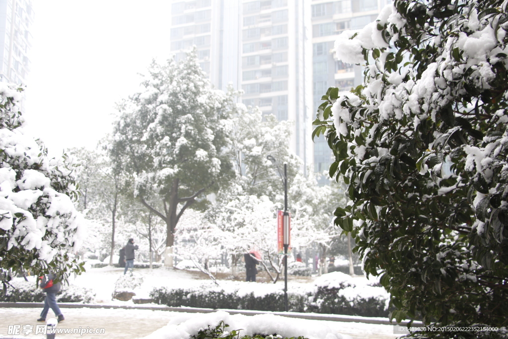 雪景