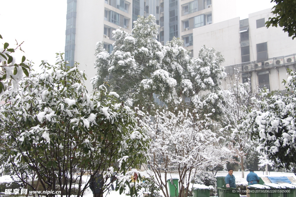 雪景