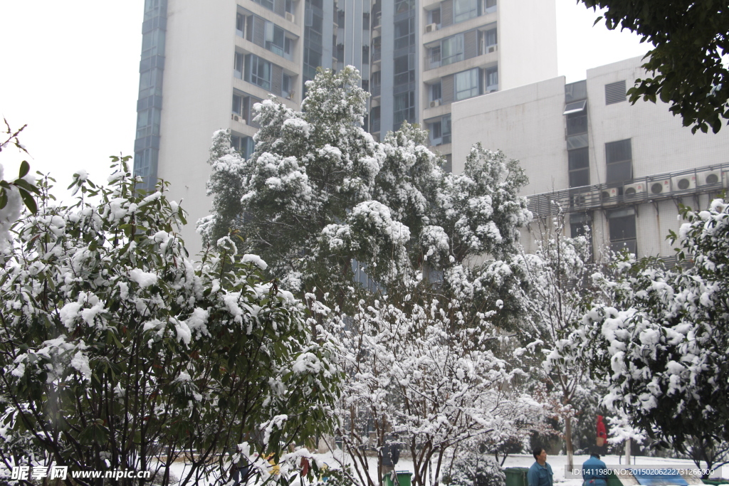 雪景