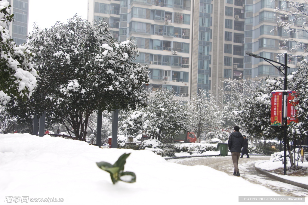 雪景