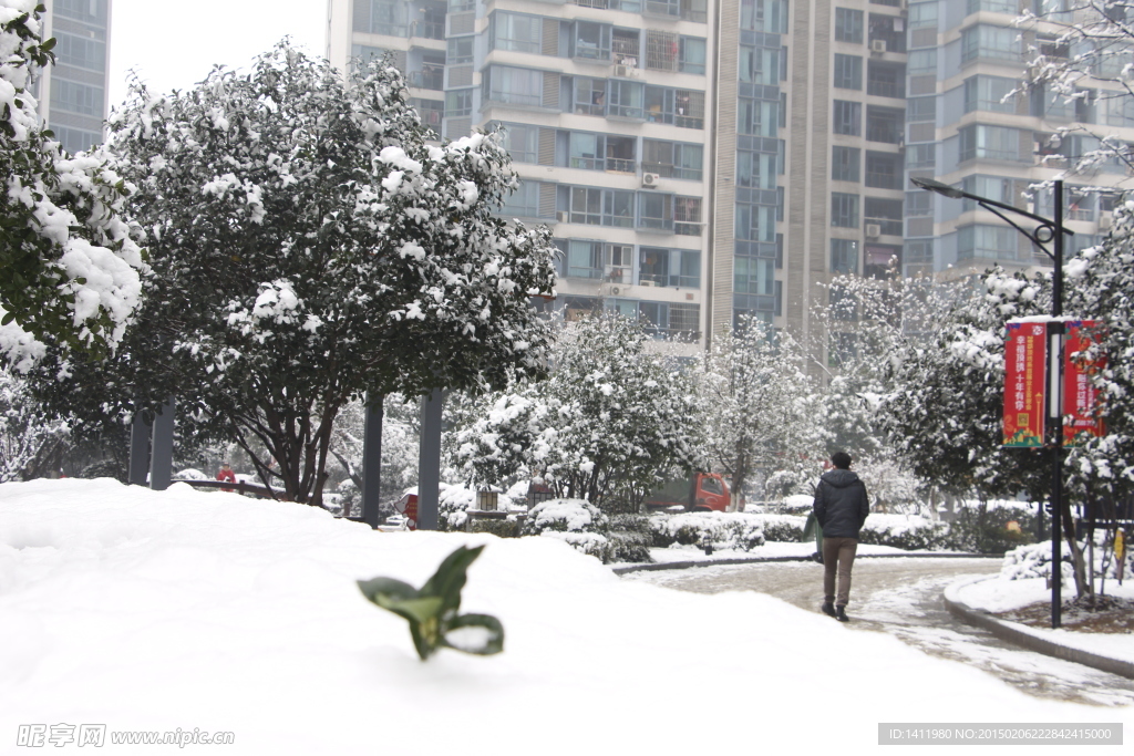 雪景