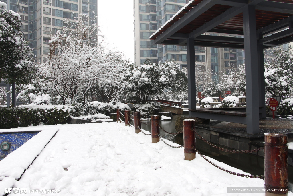 雪景