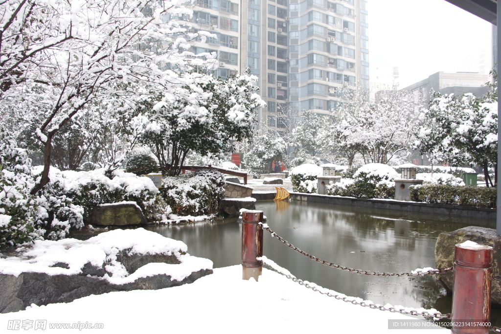 雪景