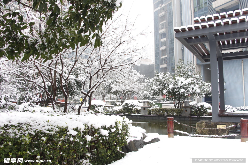 雪景