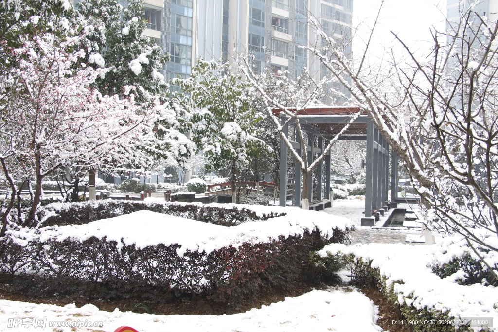 雪景