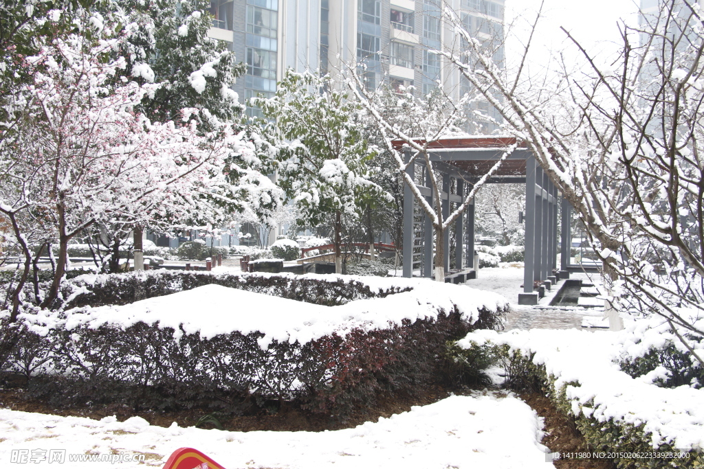 雪景