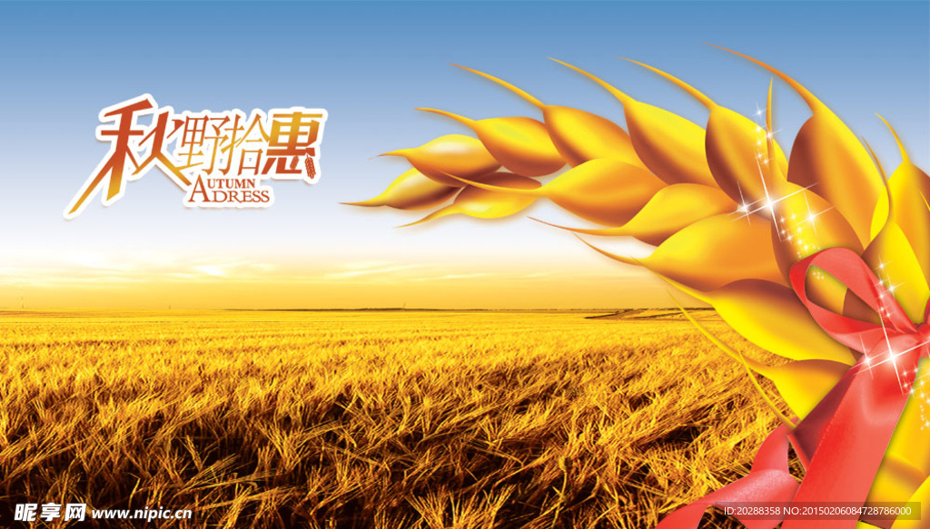 金麦穗