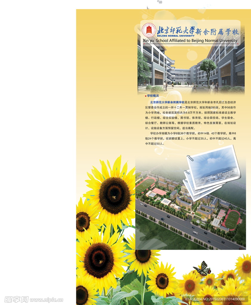 学校X展架