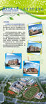 学校X展架