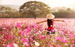花丛中的女孩