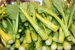 菜心