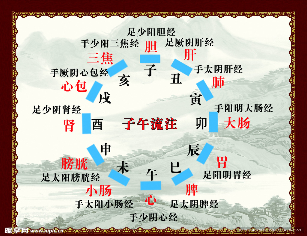 12时辰中医图