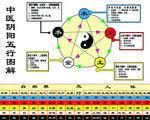 中医阴阳五行图