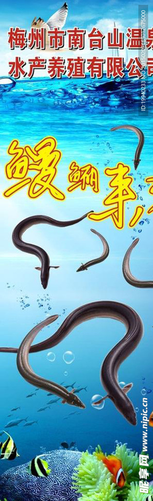 易拉宝X展架模板