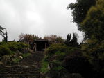 庭院