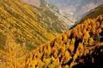 夹金山