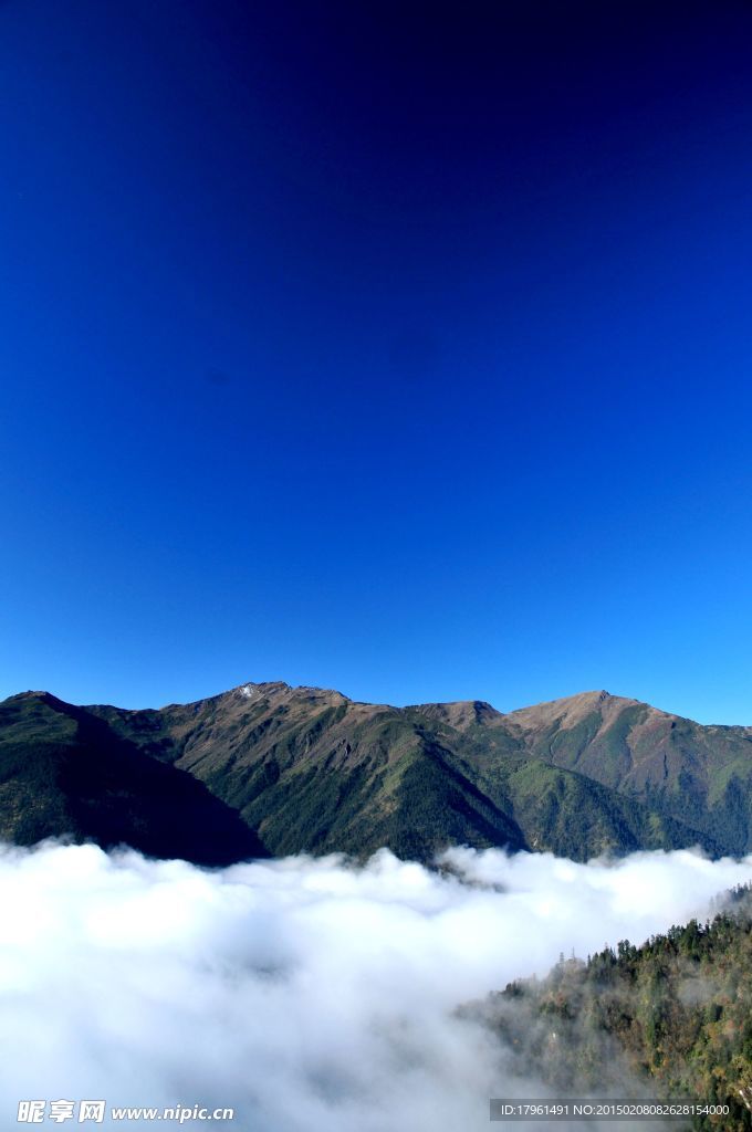 夹金山