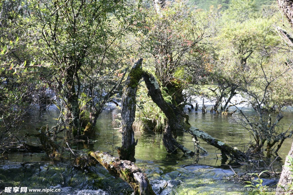 九寨沟