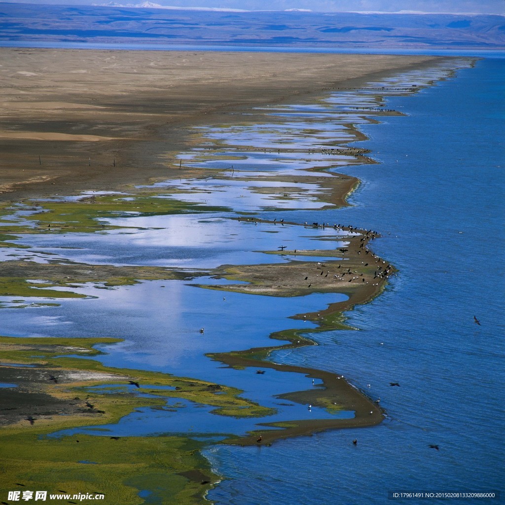 青海湖