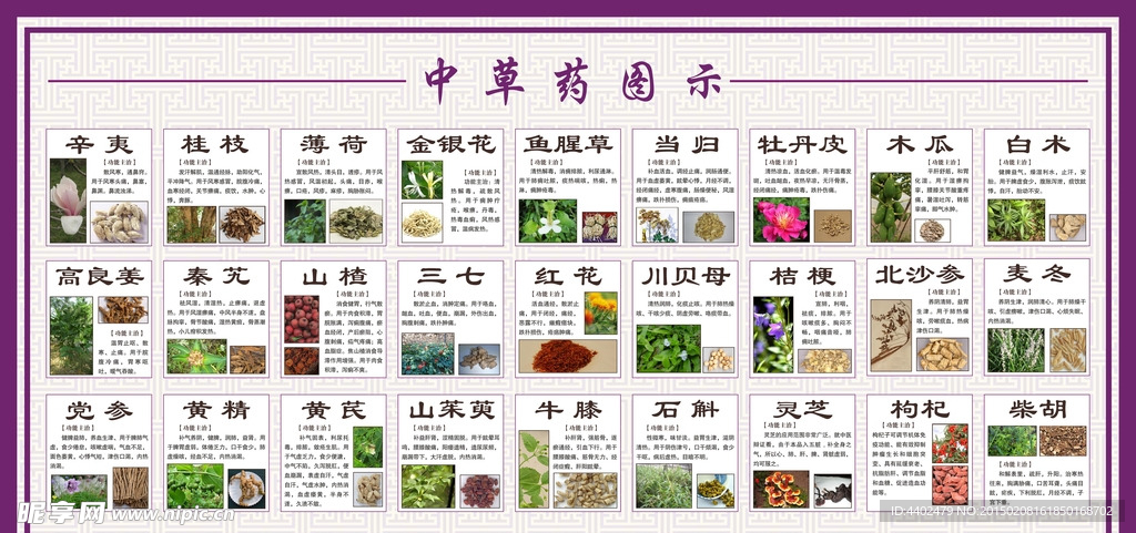 草药图示