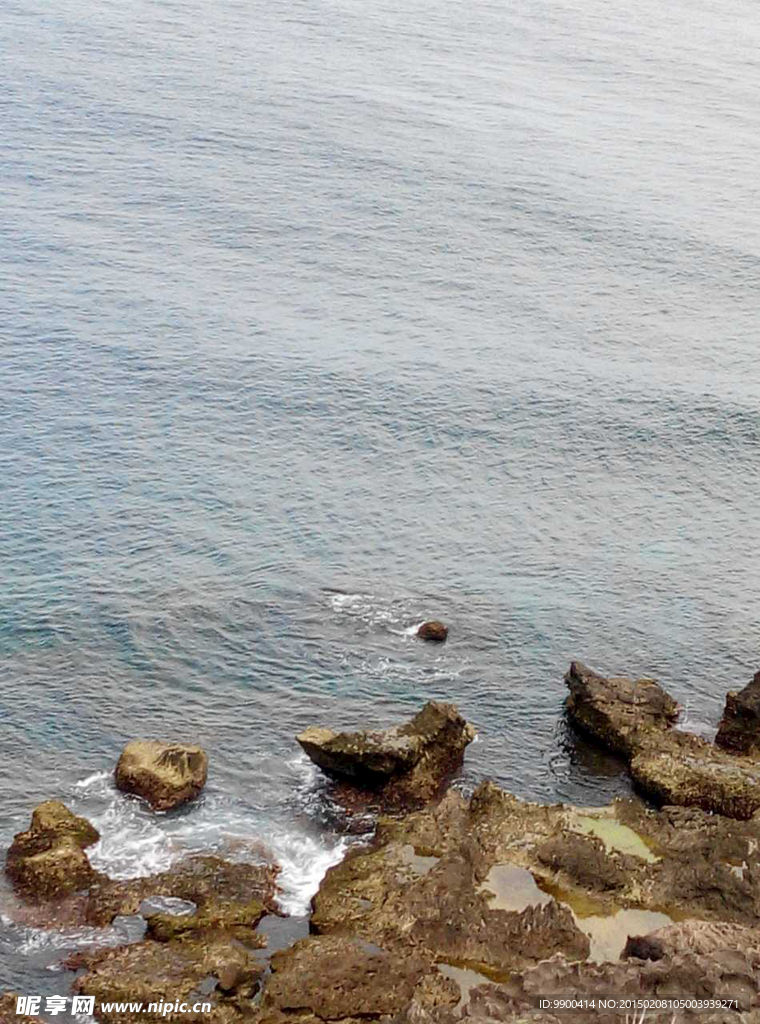 大海
