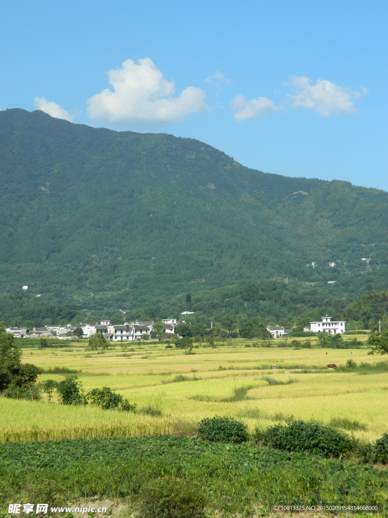 青山蓝天下的村路