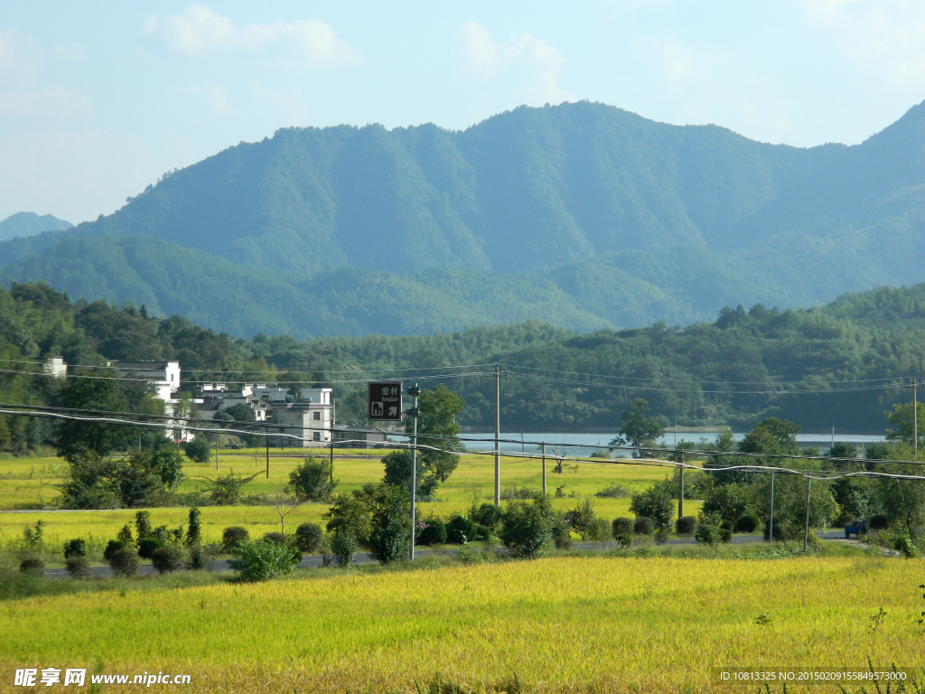 稻田青山