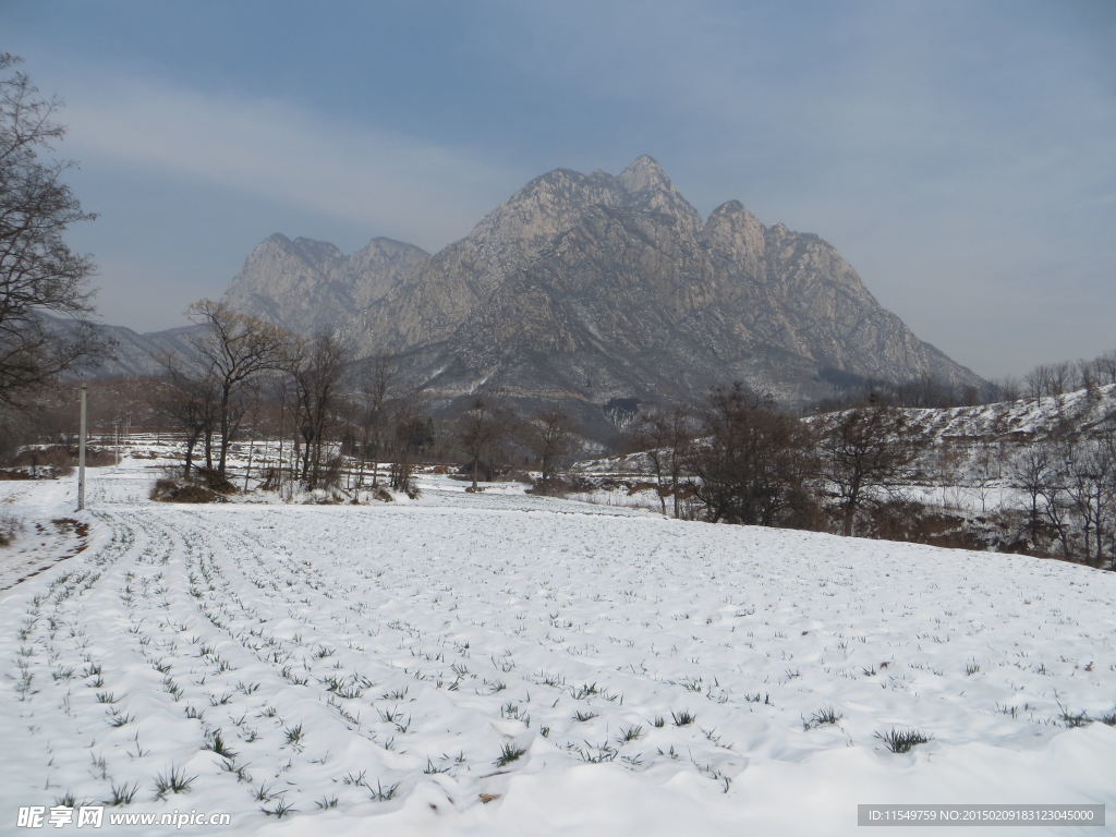 少室晴雪