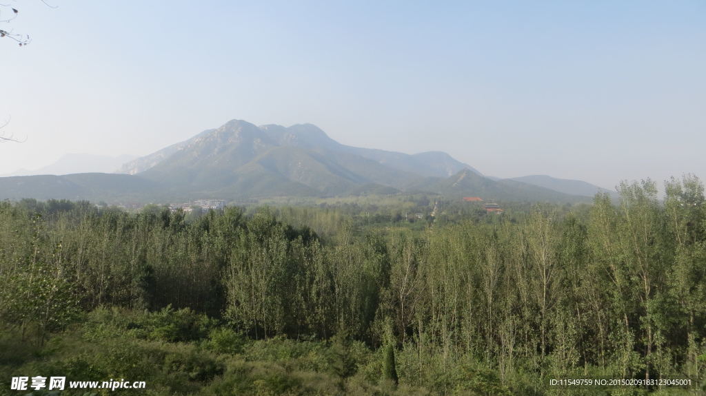 嵩山中岳庙前秋景