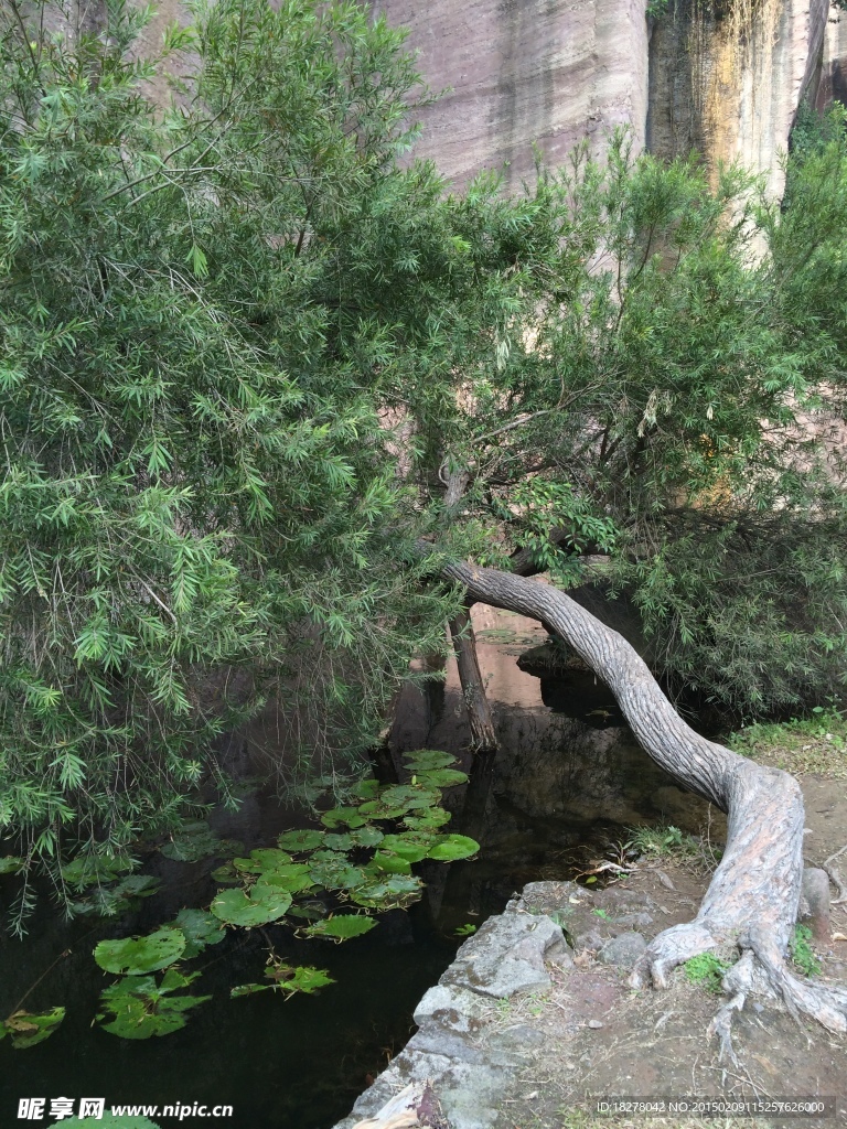 旅游景色