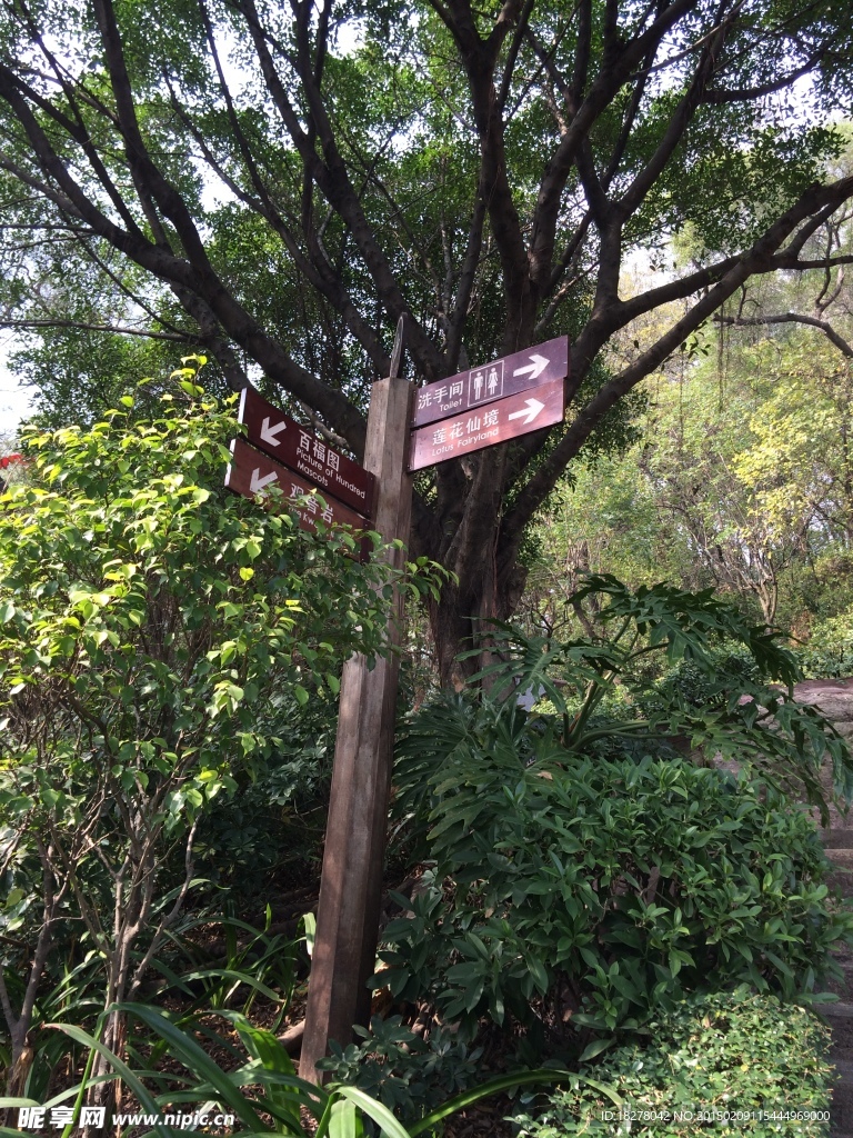 旅游景色