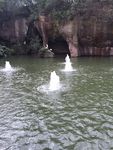 池塘