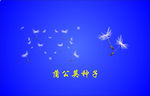 蒲公英的种子