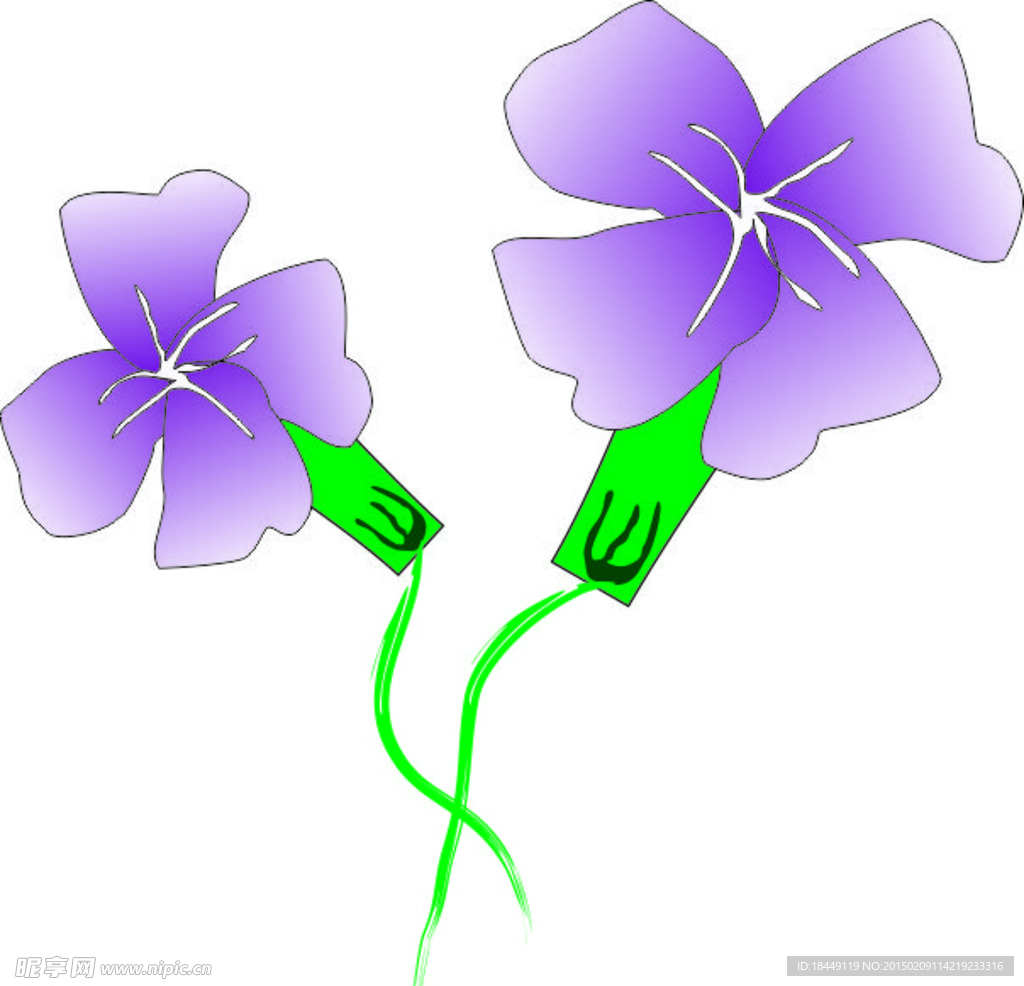 牵牛花